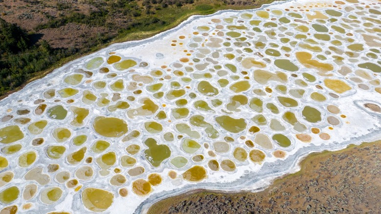 Spotted Lake, Kanada: Danau Aneh dengan Lingkaran-Lingkaran Mineral Berwarna-Warni